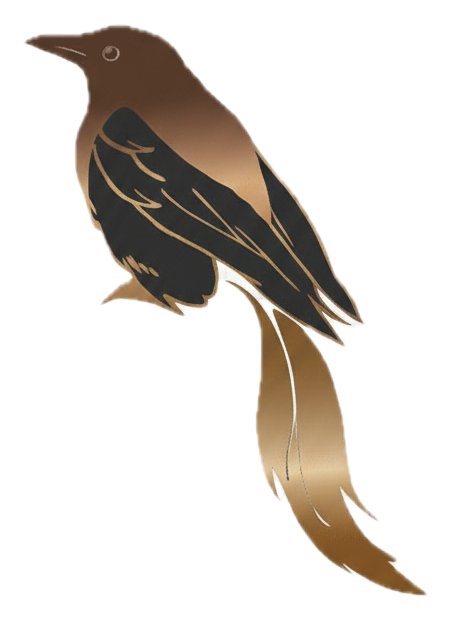 Picão